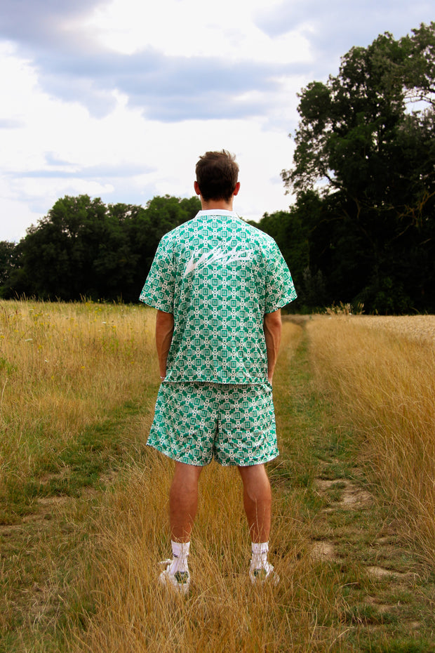 Ensemble MINT